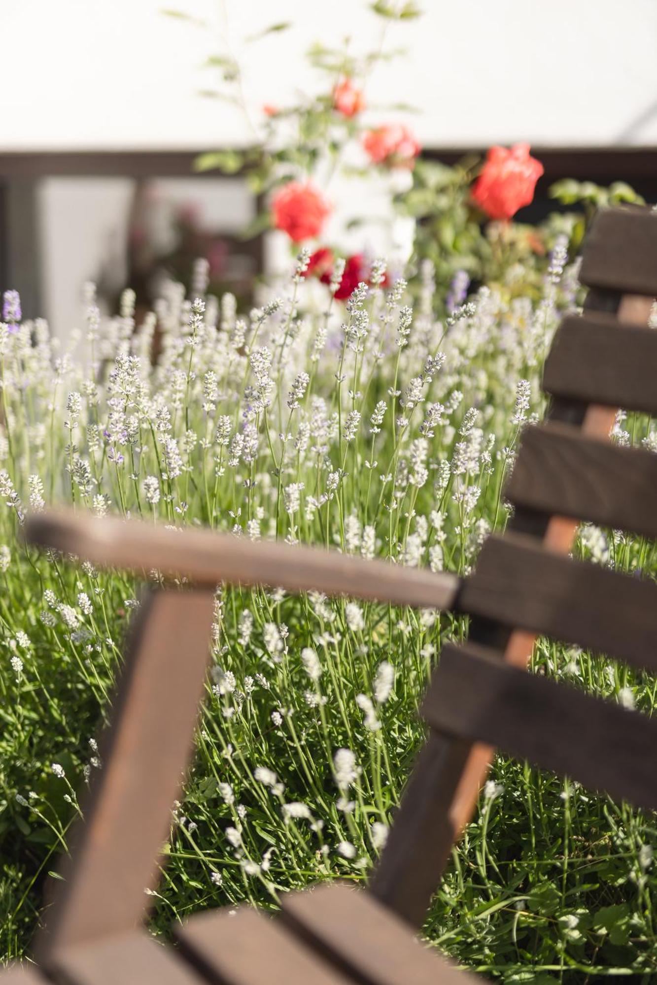 Pension Gulla - Ferienhaus Appartements B&B นอยชติฟ อิม ชตูไปทัล ภายนอก รูปภาพ